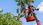 View this ad