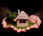 View this ad