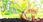View this ad