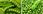 Annonce ansehen
