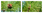 Annonce ansehen